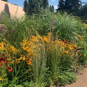 Meet your Posher, Emilse